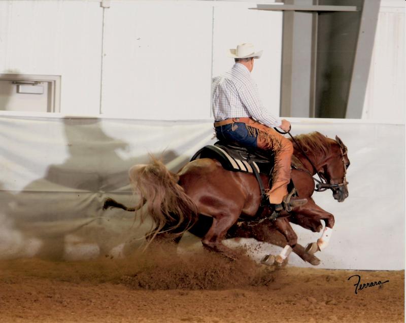 WS Rising Tide 2010 U.S. Nationals Jr. WCH Futurity